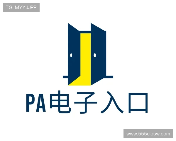 认识PA电子集团